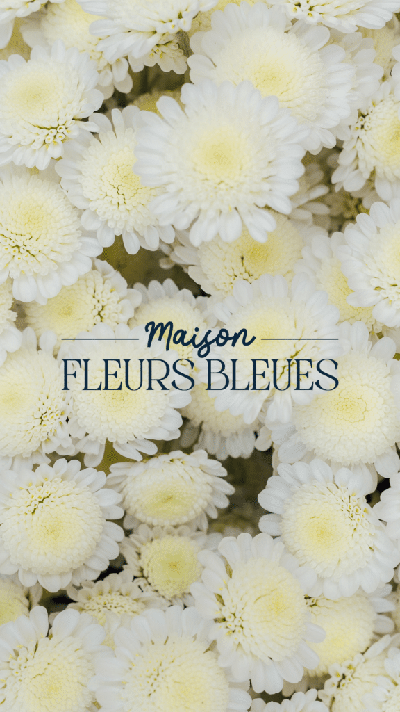 maison fleurs bleues identite visuelle